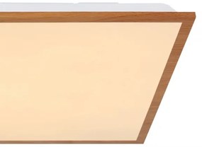 Globo 416080D2W - Plafoniera LED DORO LED/24W/230V