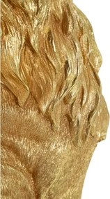 Re Leone Shant Cm 30X42X74