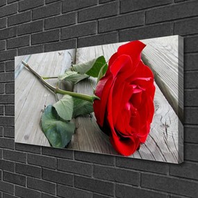 Foto quadro su tela Fiori di rose 100x50 cm