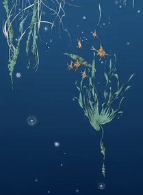 Edmond Petit Carta da parati Nautilus/Méduses/Nénuphars - Marine - Nénuphars gauche - Marine